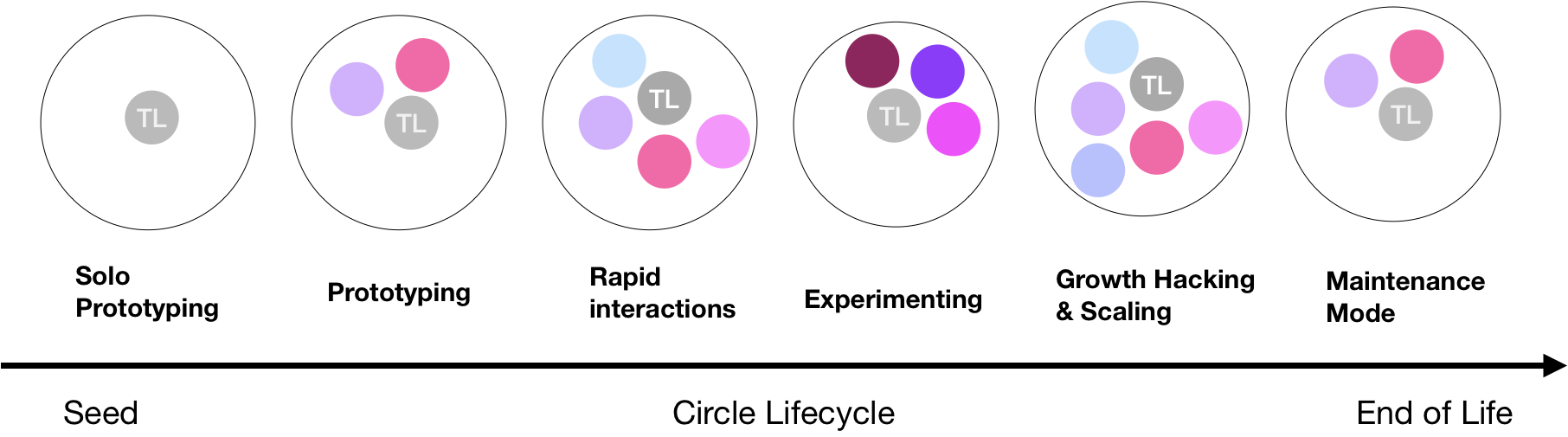 Circle Lifecycle